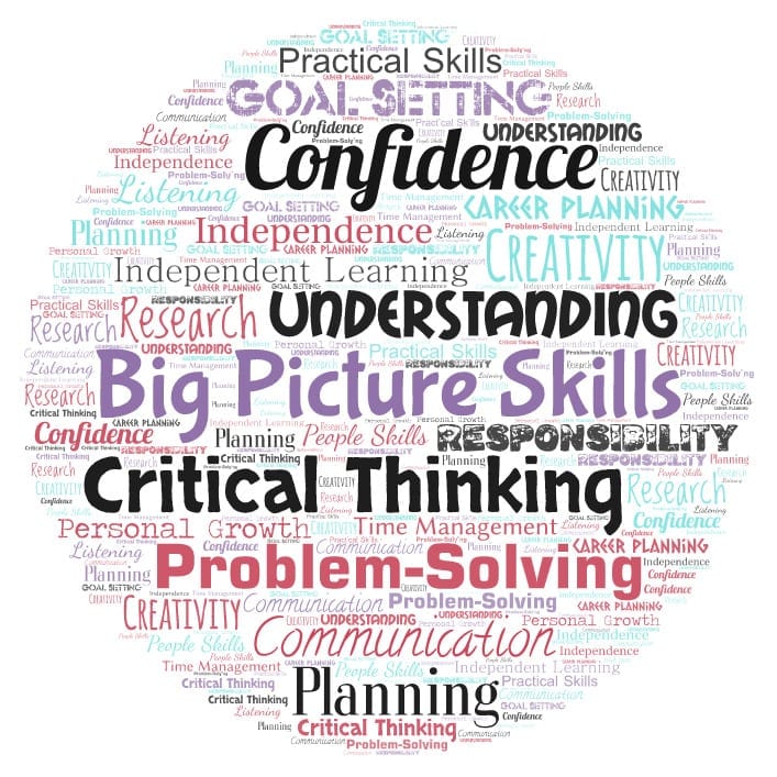 Word cloud of Big Picture Skills like critical thinking, problem-solving, confidence, understanding, communication, creativity, goal-setting, planning, practical skills, independence, independent learning, research, career skills, people skills, personal growth, listening, responsibility, time management